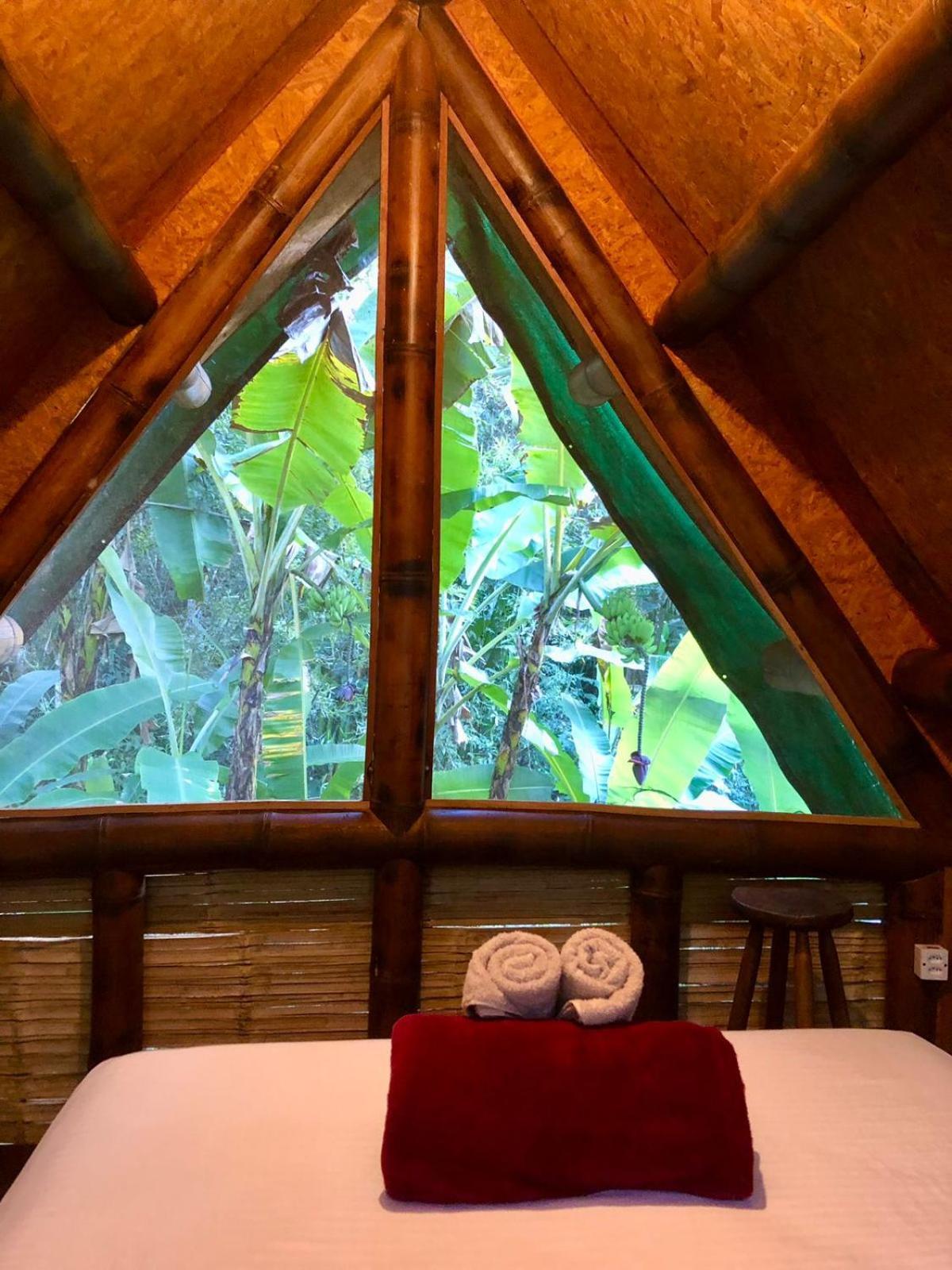 Sitio Simple Life Bed and Breakfast Ubatuba Eksteriør billede