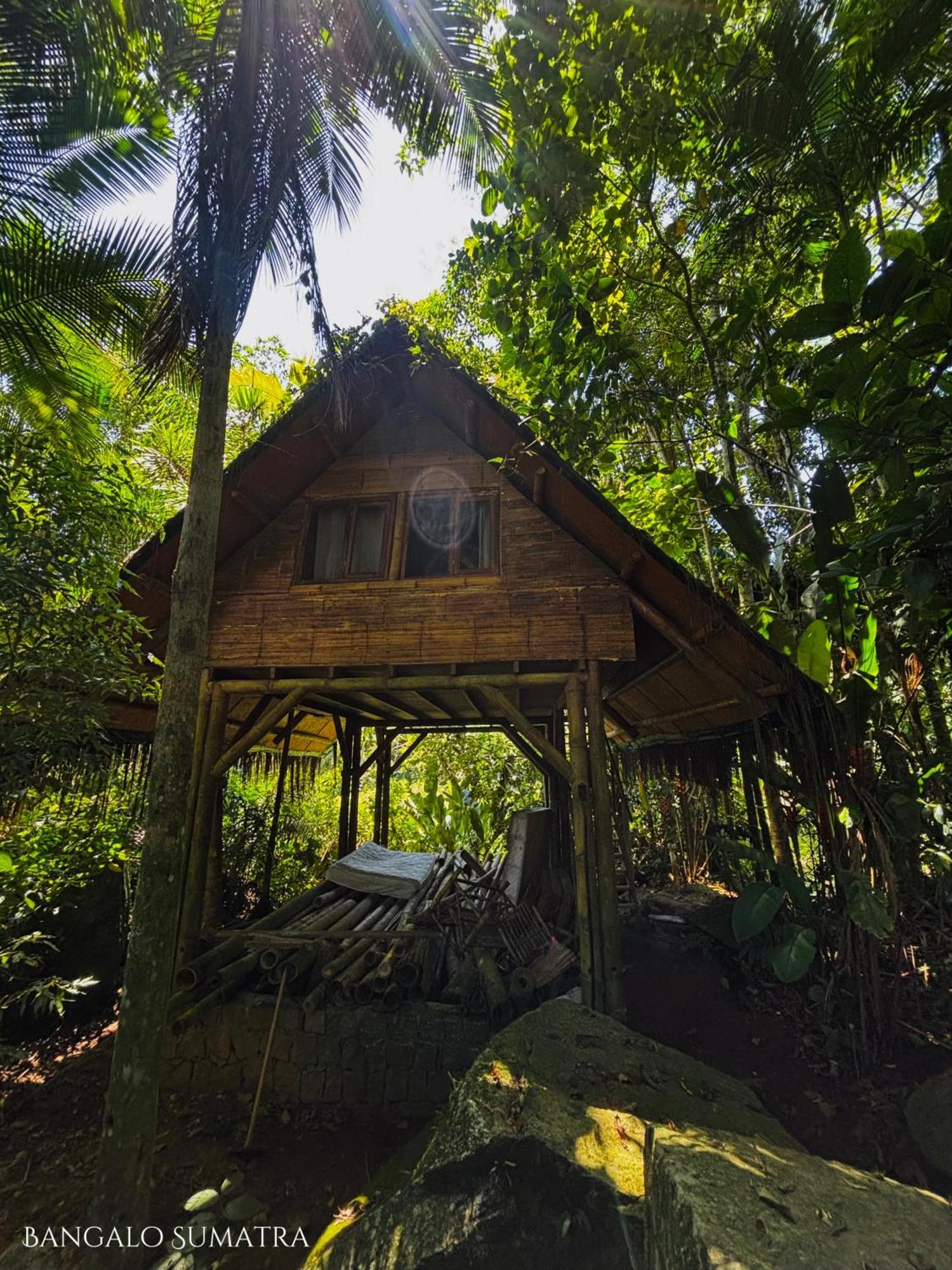 Sitio Simple Life Bed and Breakfast Ubatuba Eksteriør billede