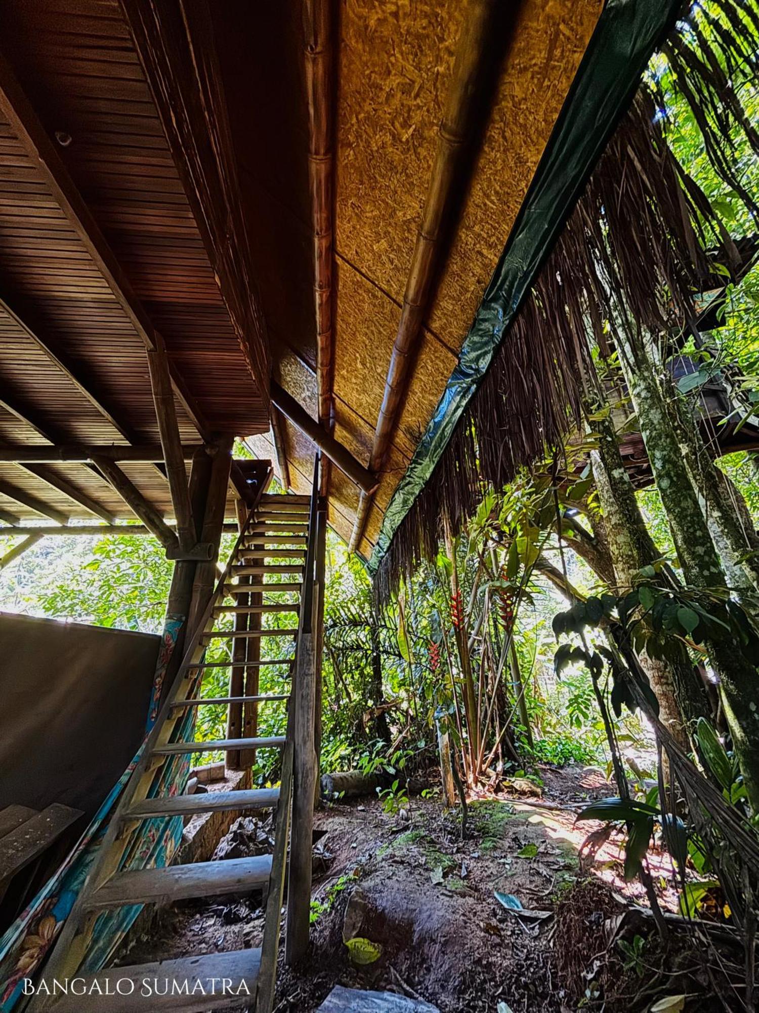 Sitio Simple Life Bed and Breakfast Ubatuba Eksteriør billede