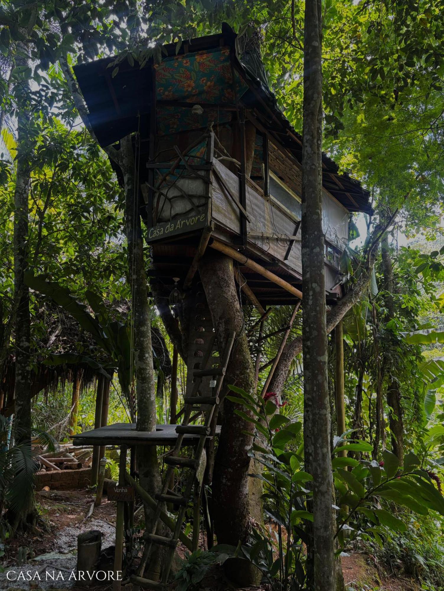 Sitio Simple Life Bed and Breakfast Ubatuba Eksteriør billede